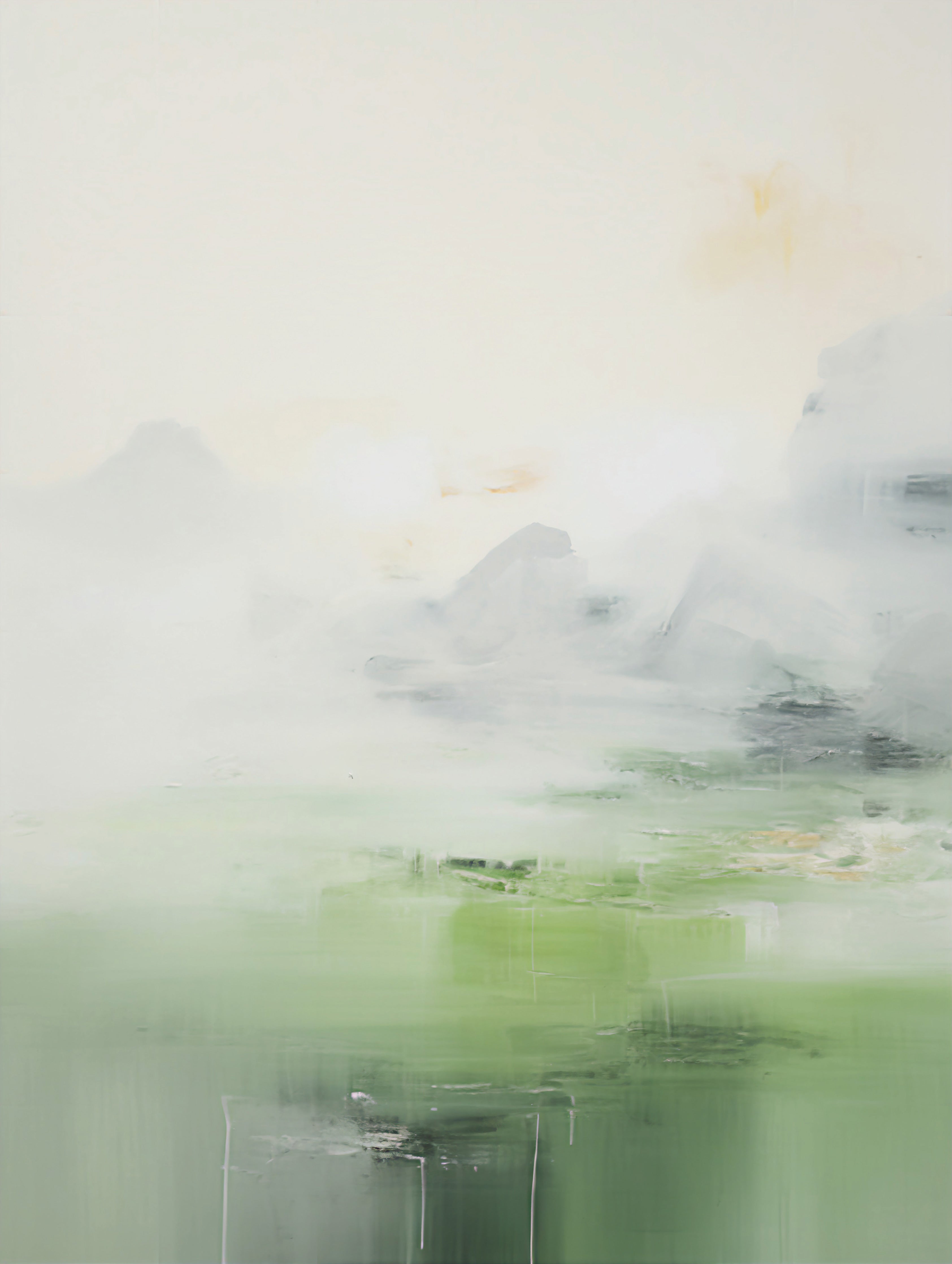 Nebel Berglandschaft