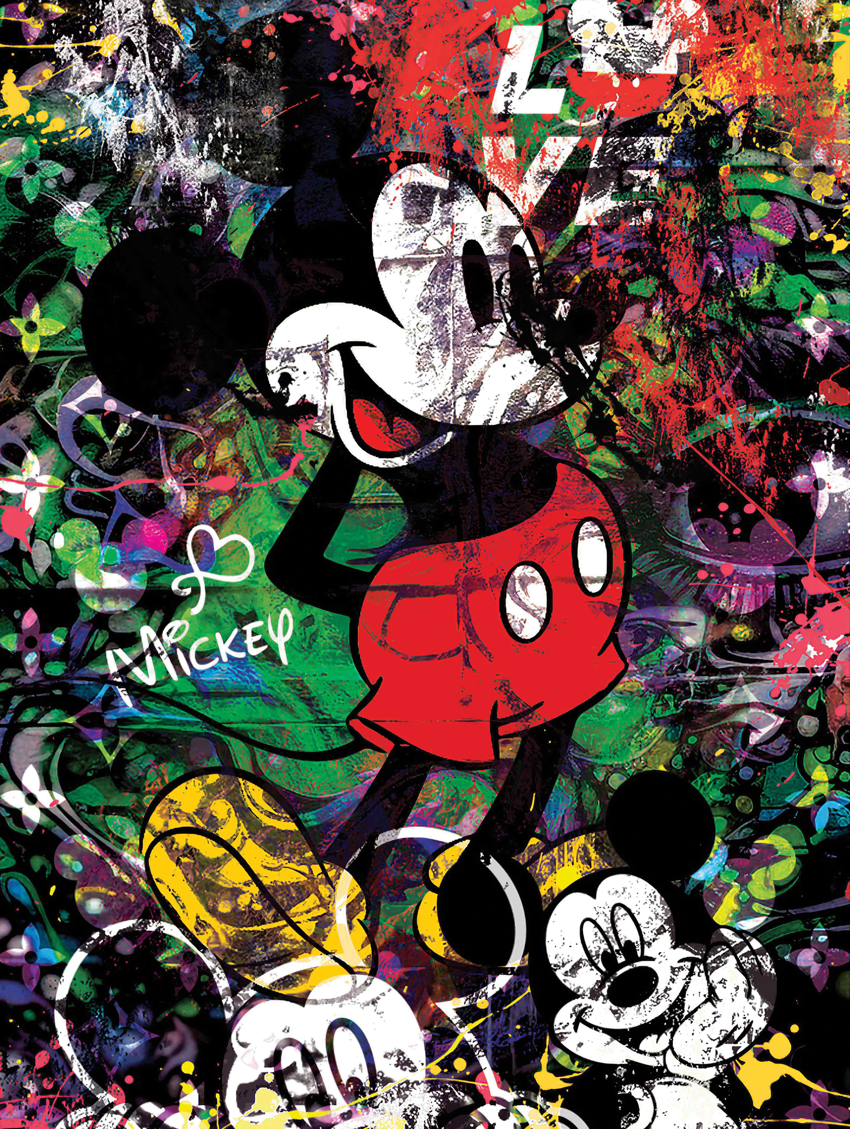 Mickey Attraktion