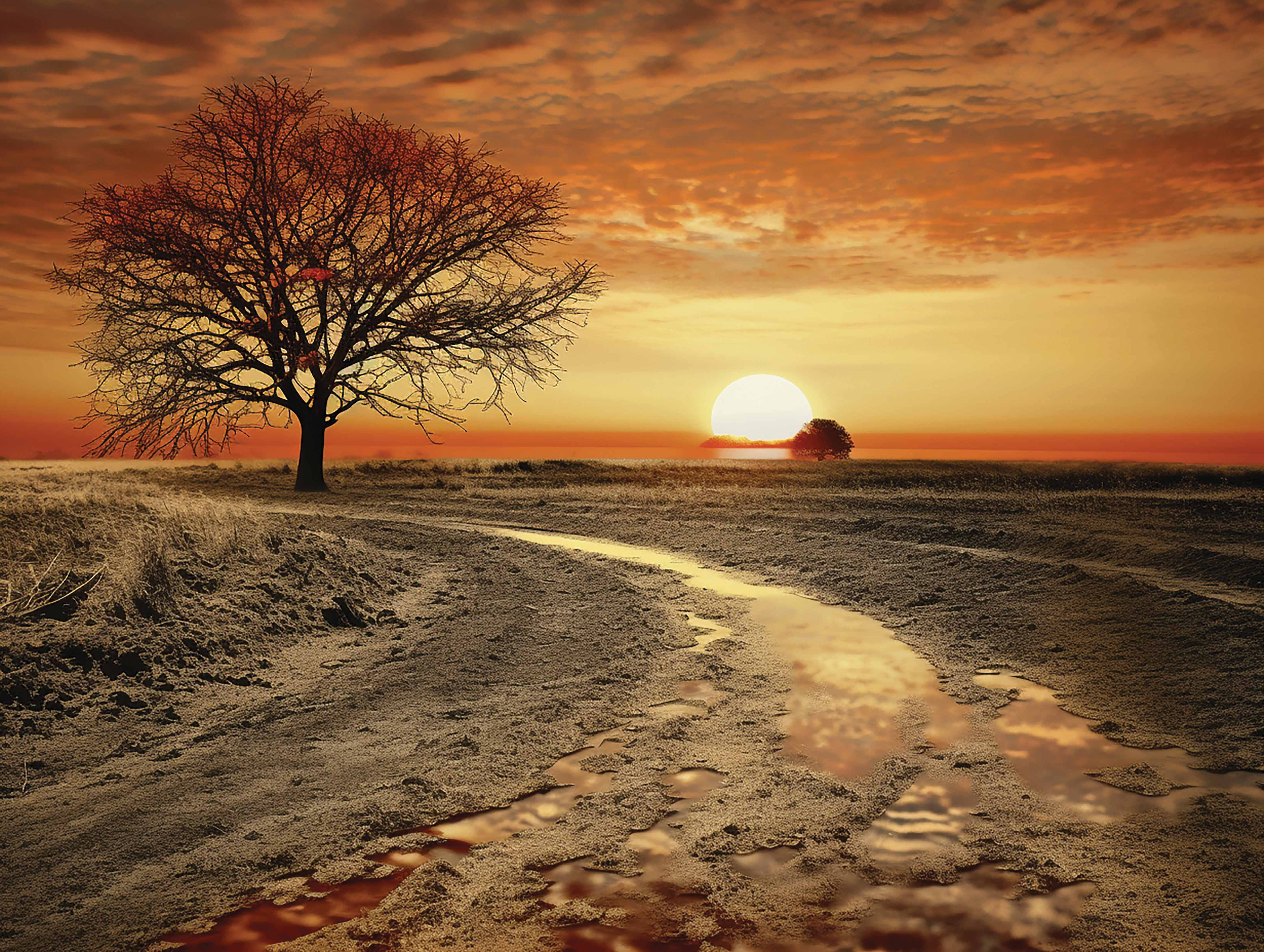 Baum am Horizont
