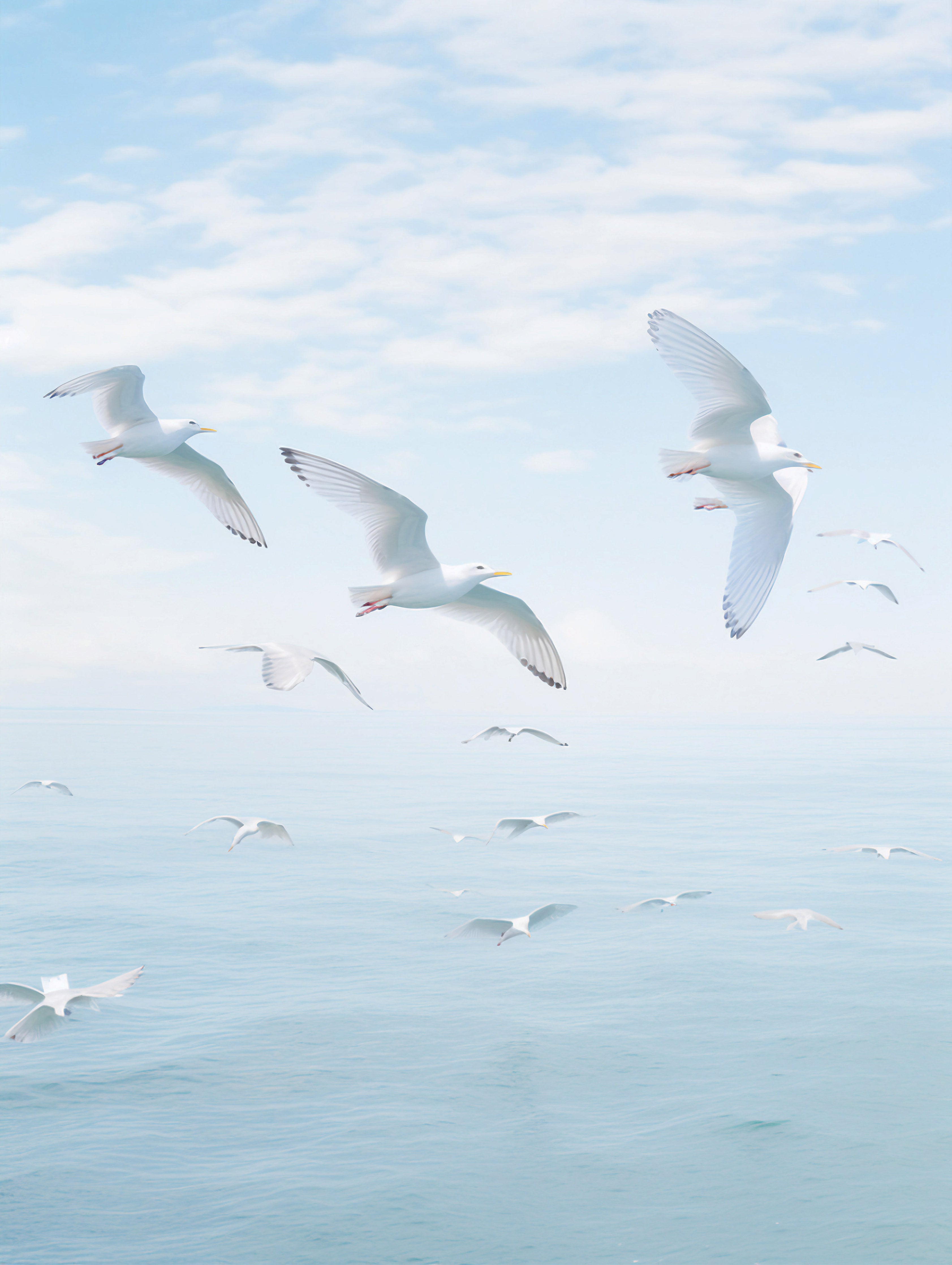 Seaside Serenity
