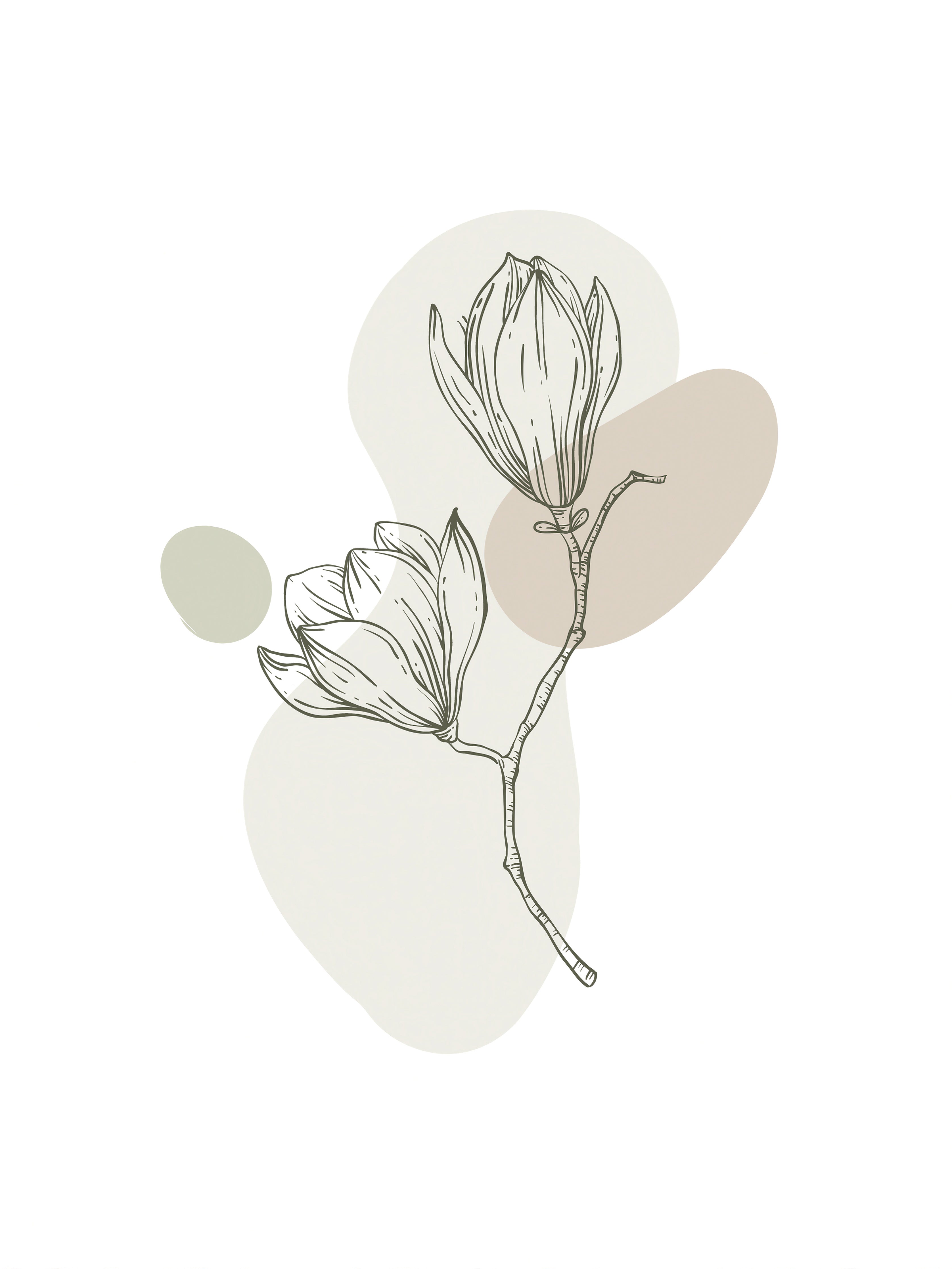 Zarte Magnolienzeichnung